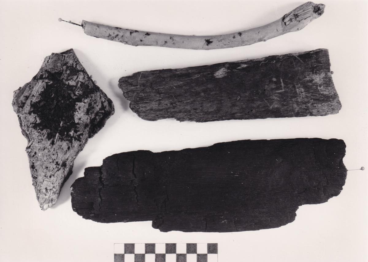 Foto von Holzfragmenten