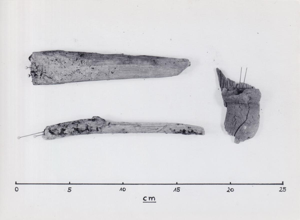 Foto von drei Holzfragmenten