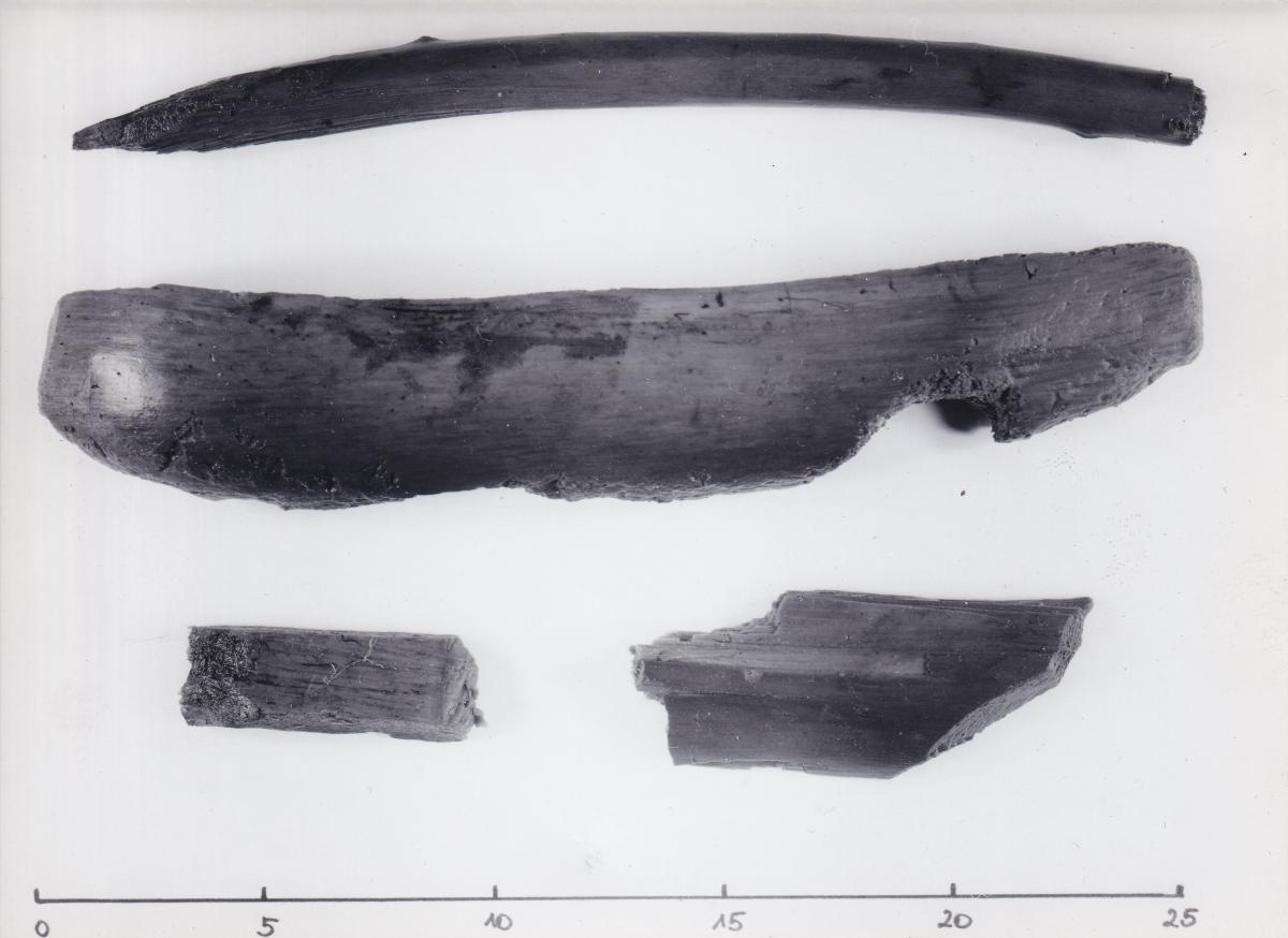 Foto von Pfahlfragmenten