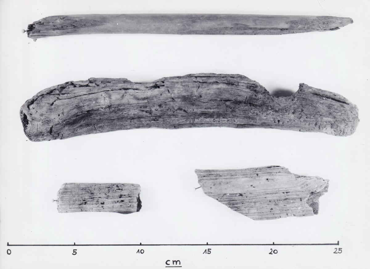 Foto von Pfahlfragmenten