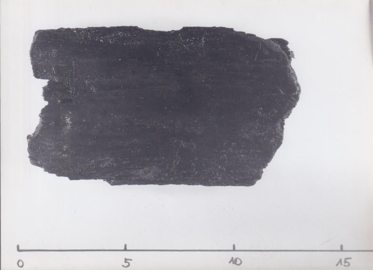 Foto von Pfahlfragment