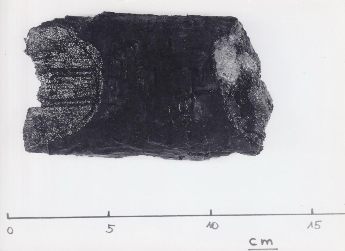 Foto von Pfahlfragment