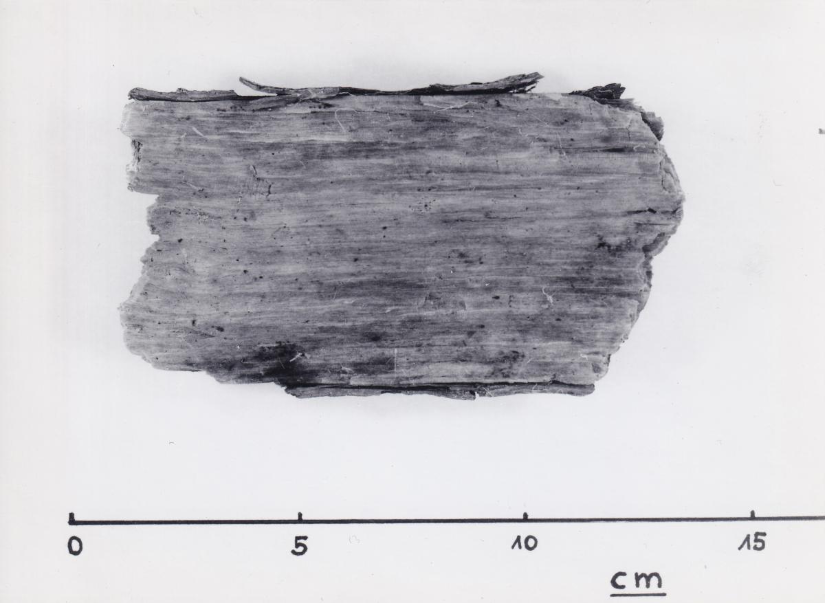 Foto von Pfahlfragment