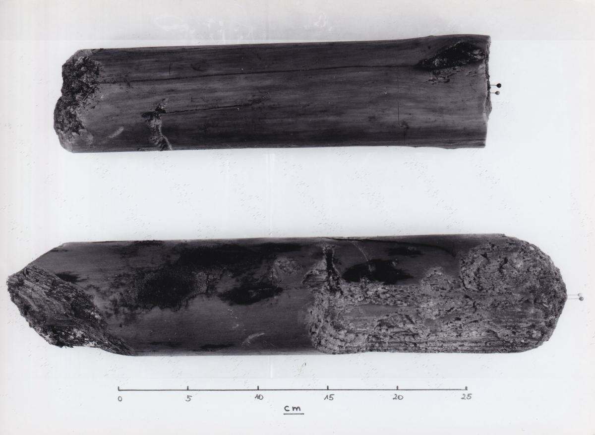 Foto von Pfahlfragmenten