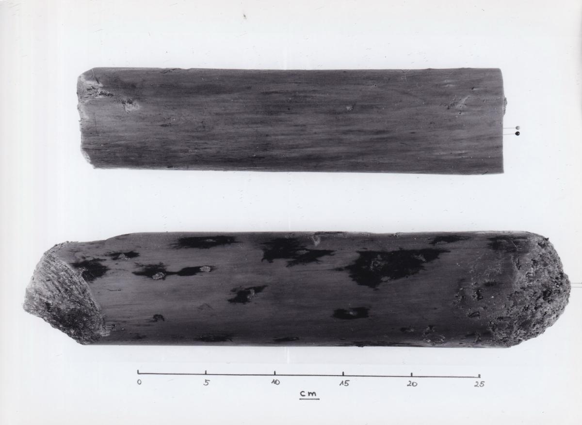 Foto von Pfahlfragmenten