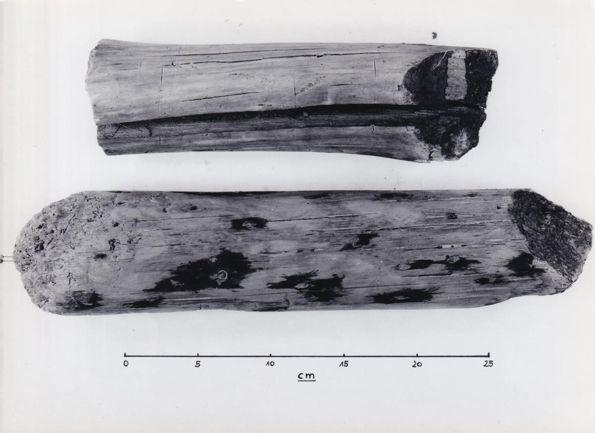 Foto von Pfahlfragmenten