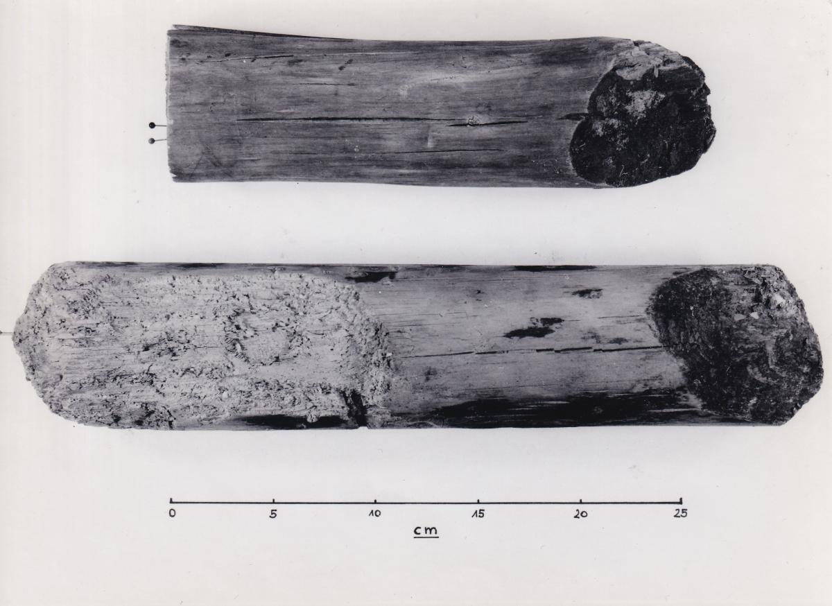 Foto von Pfahlfragmenten