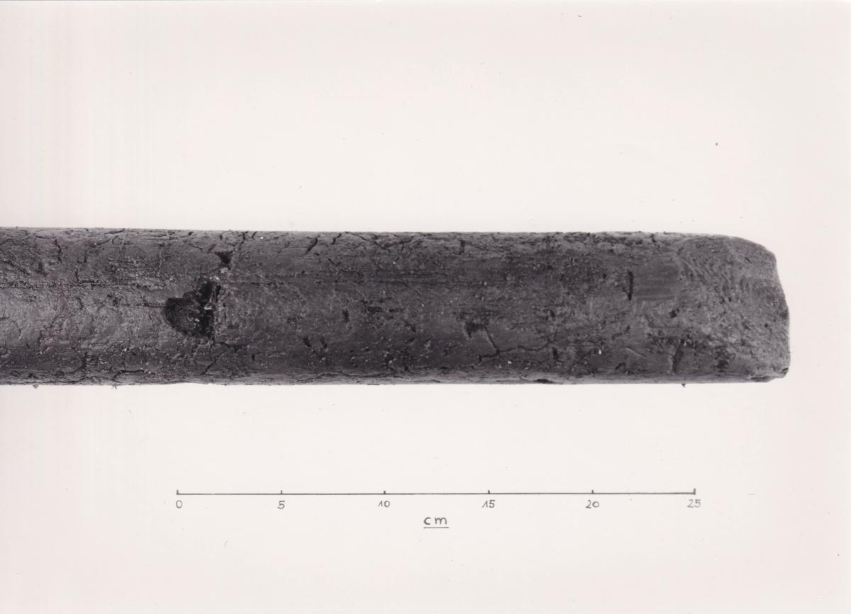 Foto von Pfahlfragment