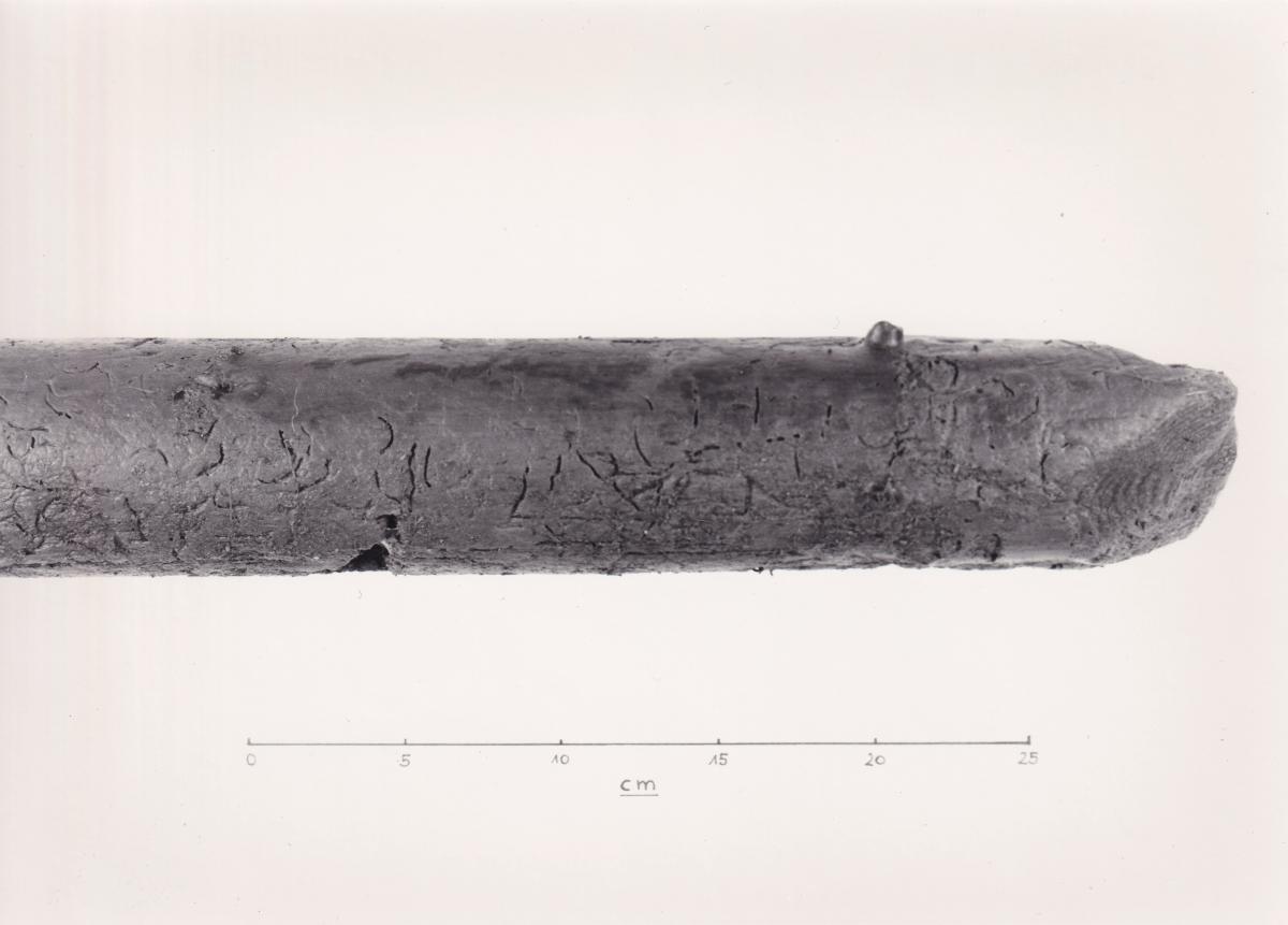 Foto von Pfahlfragment