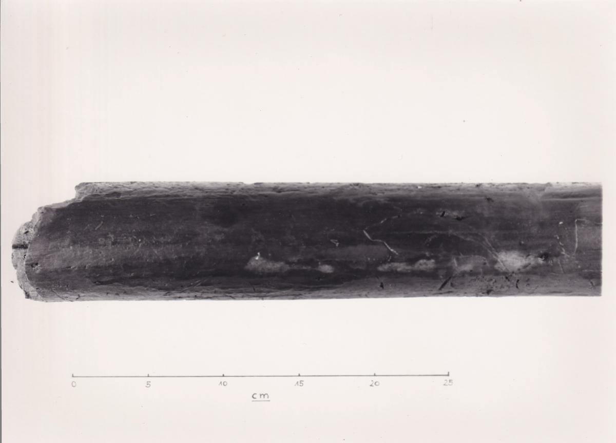 Foto von Pfahlfragment