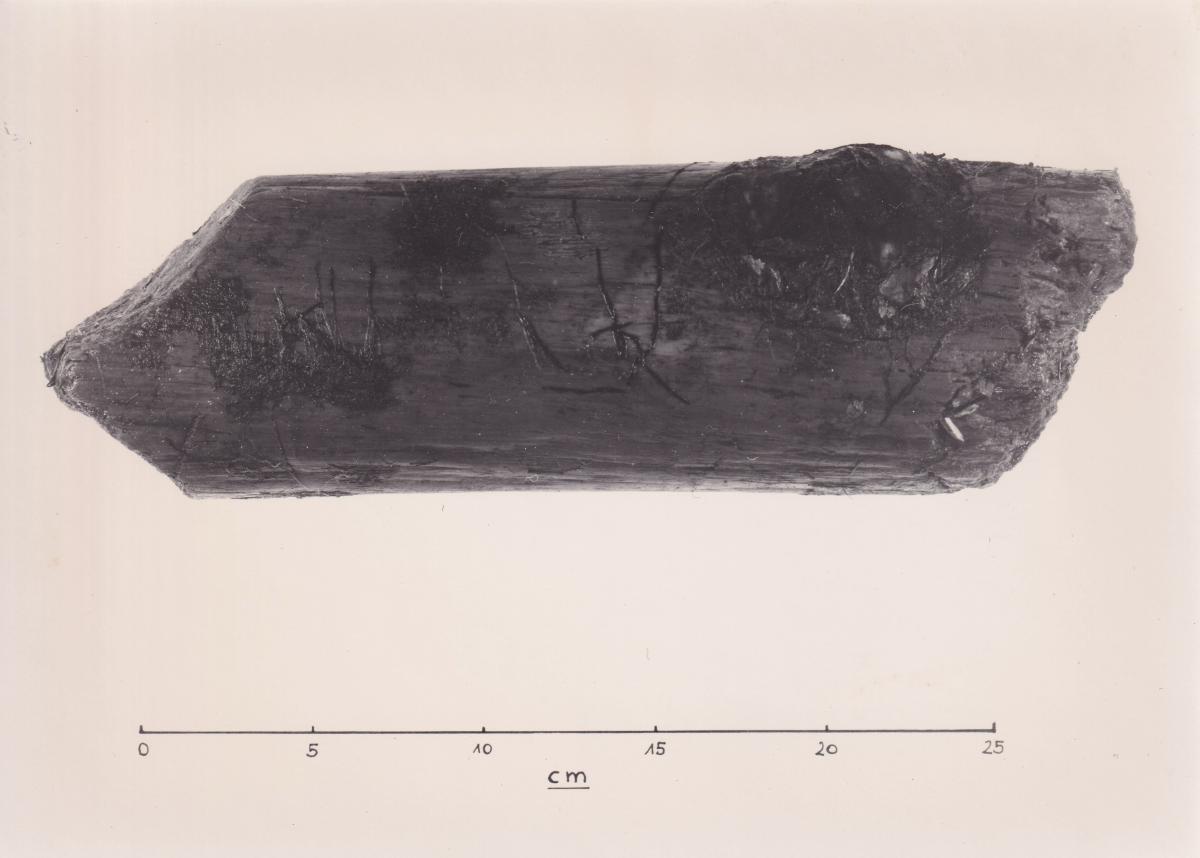 Foto von Pfahlfragment