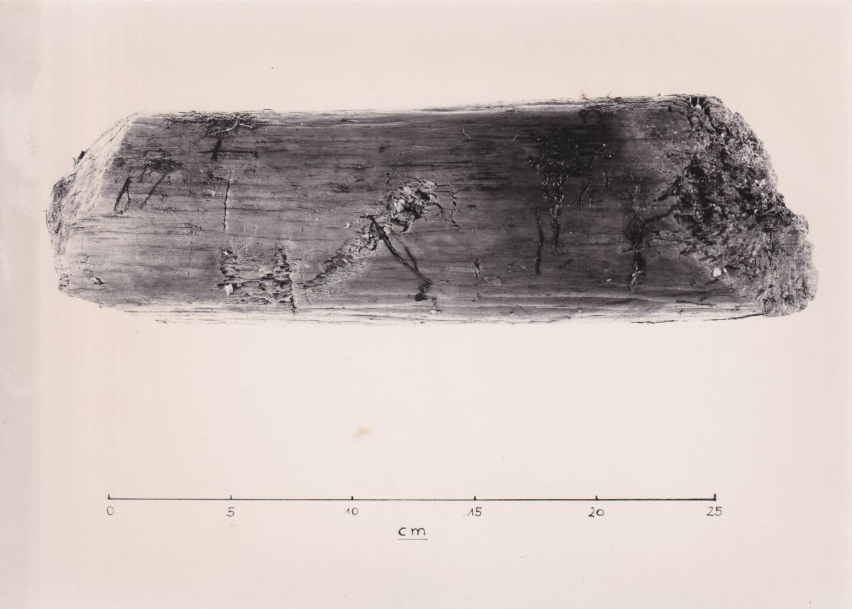 Foto von Pfahlfragment