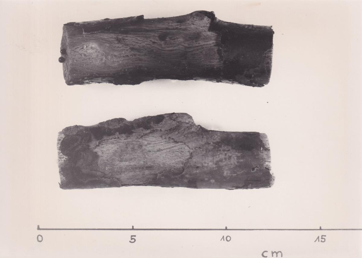 Foto von Pfahlfragmenten