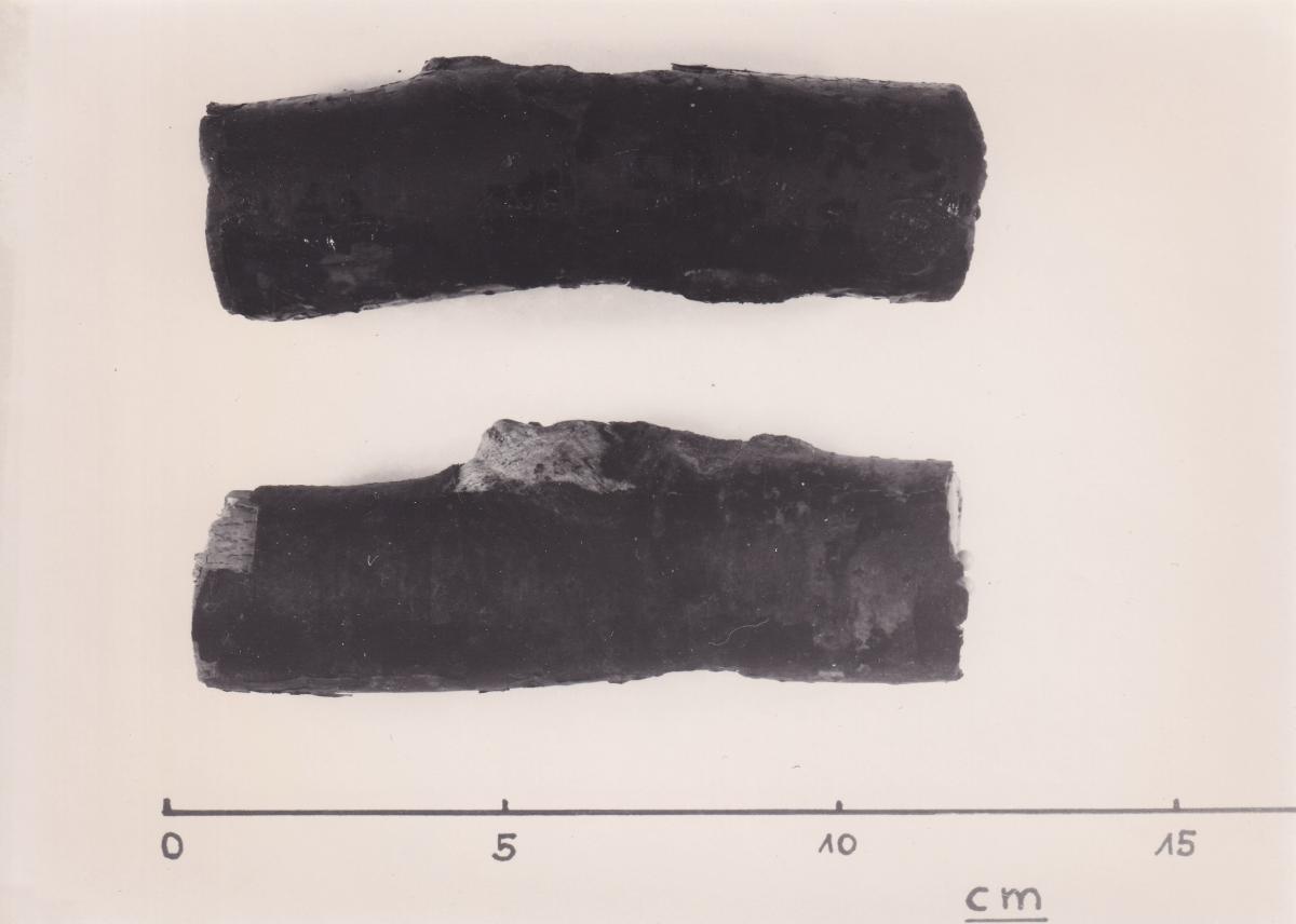 Foto von Pfahlfragment