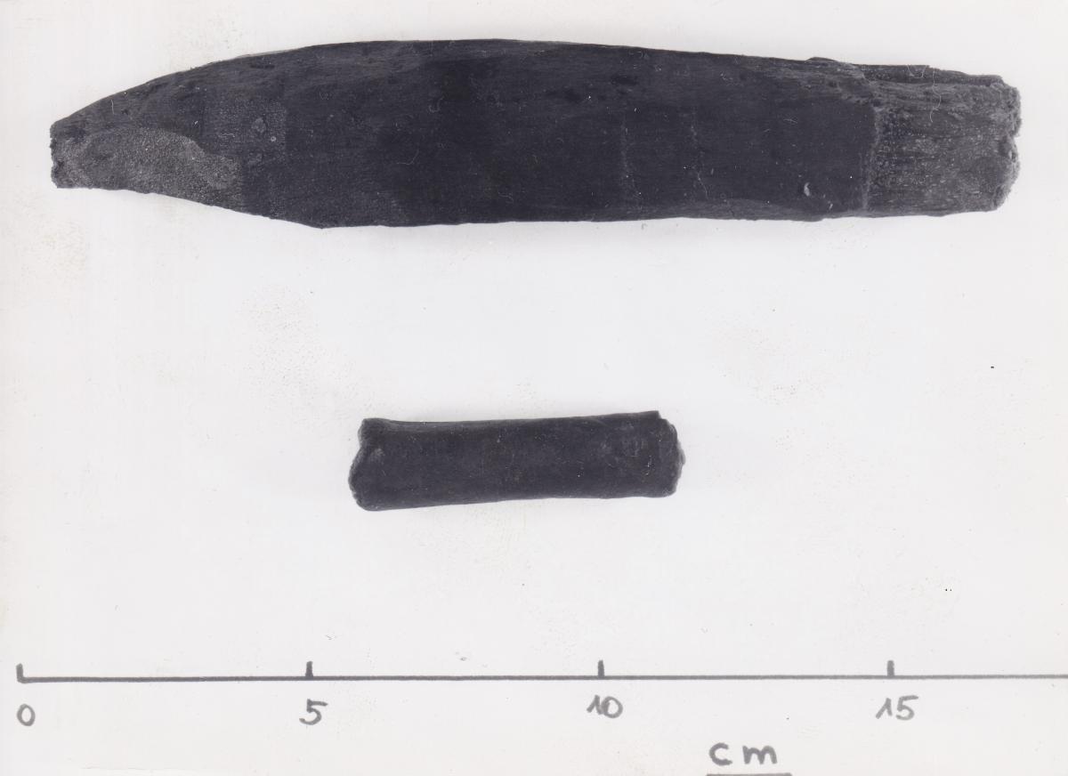 Foto von Pfahlfragmenten