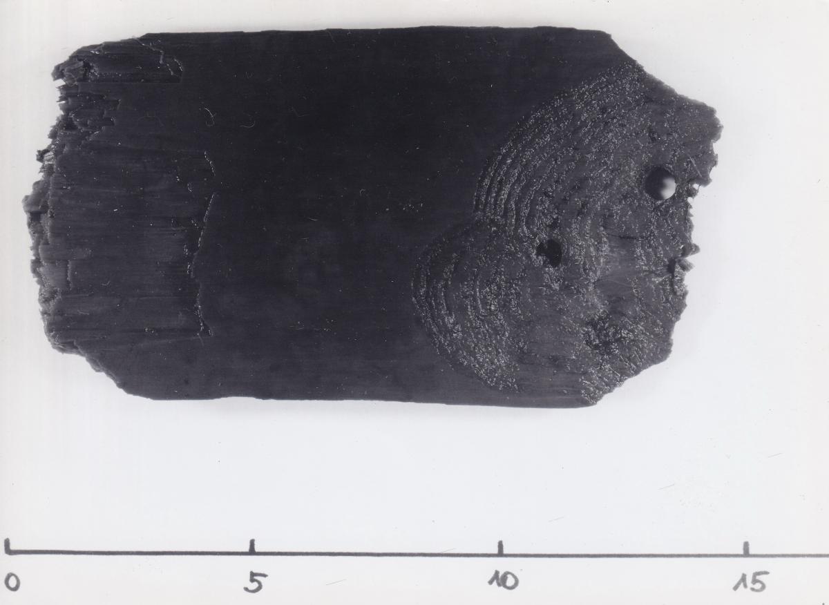 Foto von Pfahlfragment