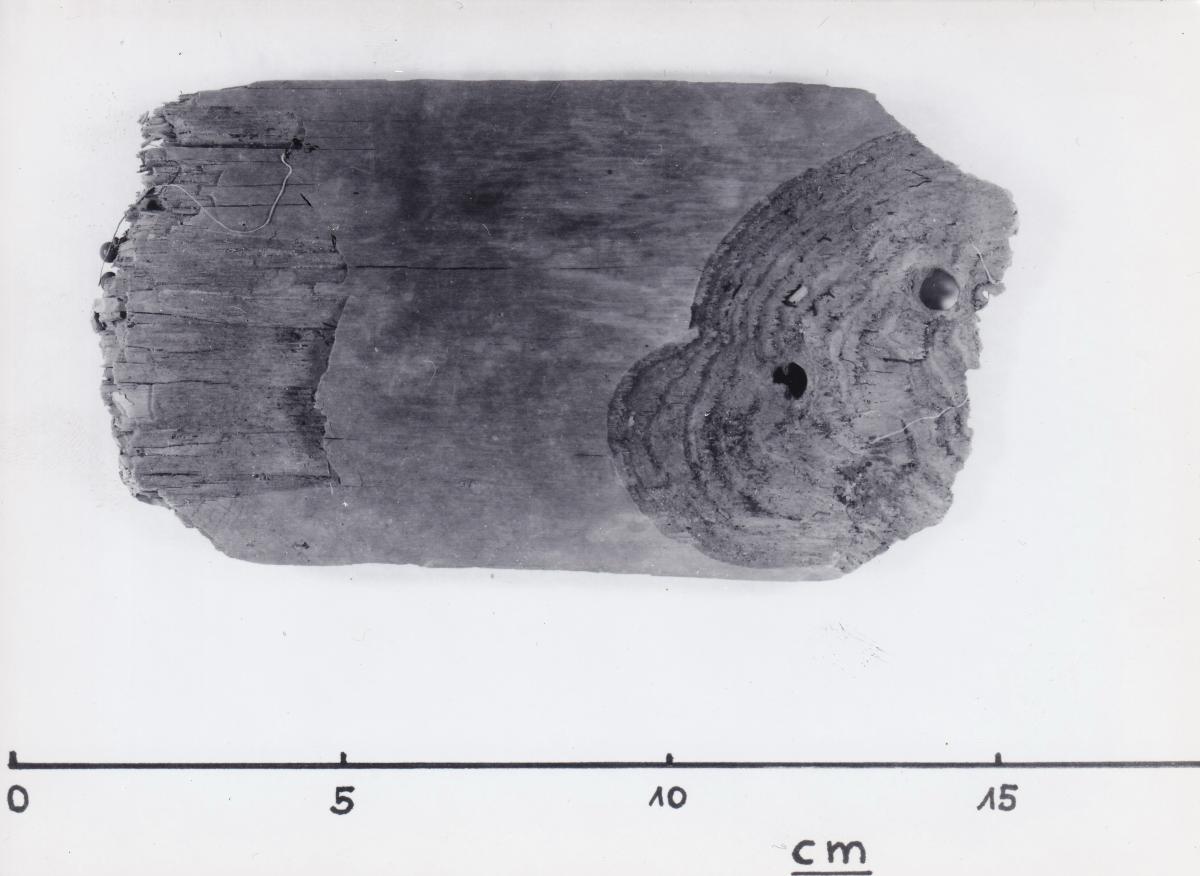 Foto von Pfahlfragment