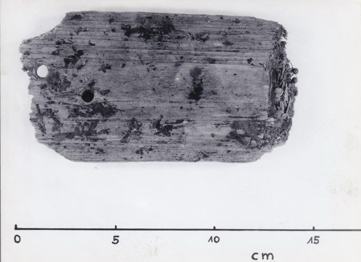 Foto von Pfahlfragment