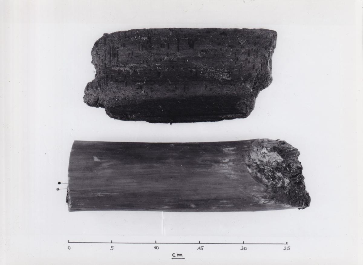 Foto von Pfahlfragmenten