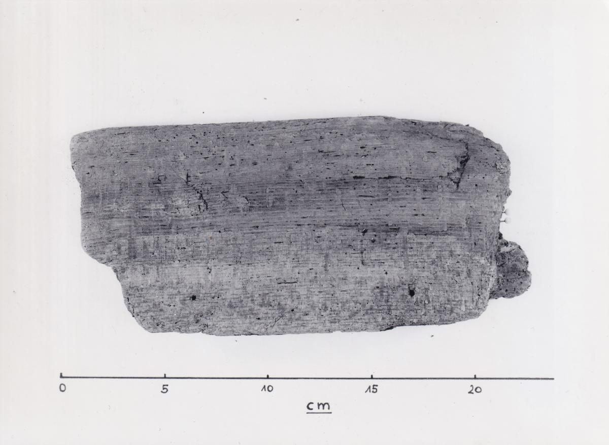 Foto von Pfahlfragment