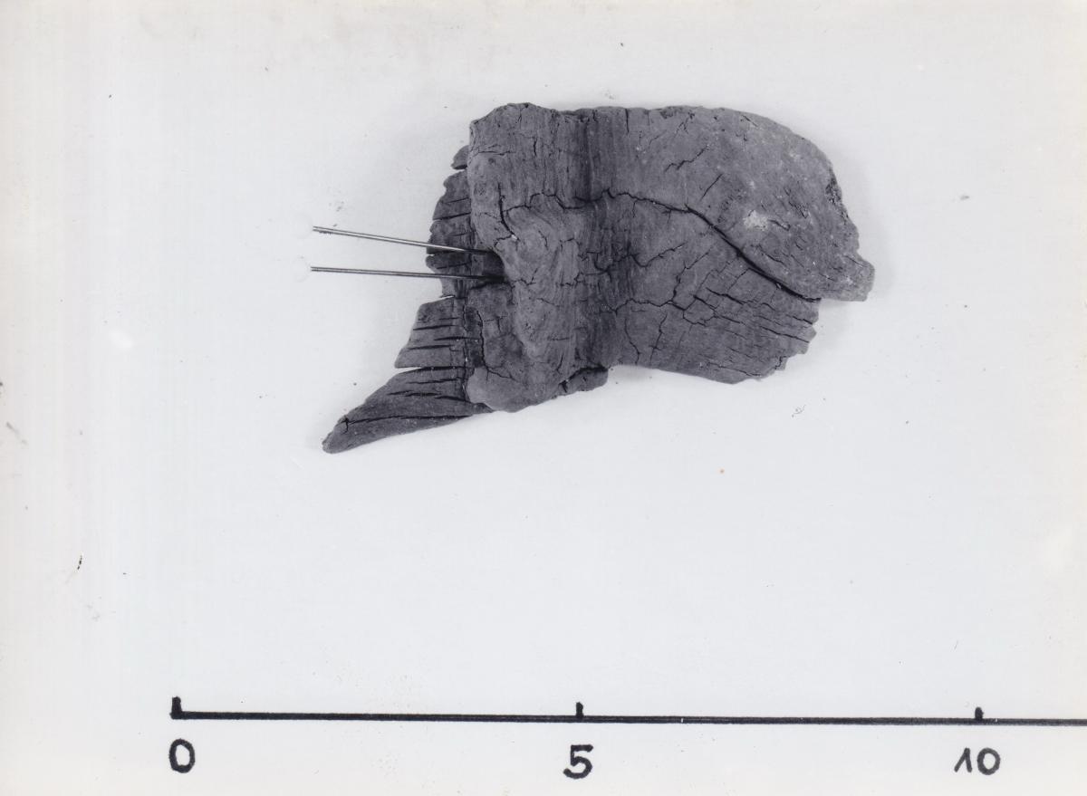 Foto von Holzfragment