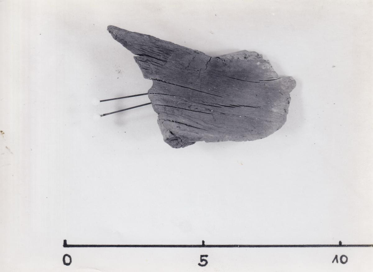 Foto von Holzfragment