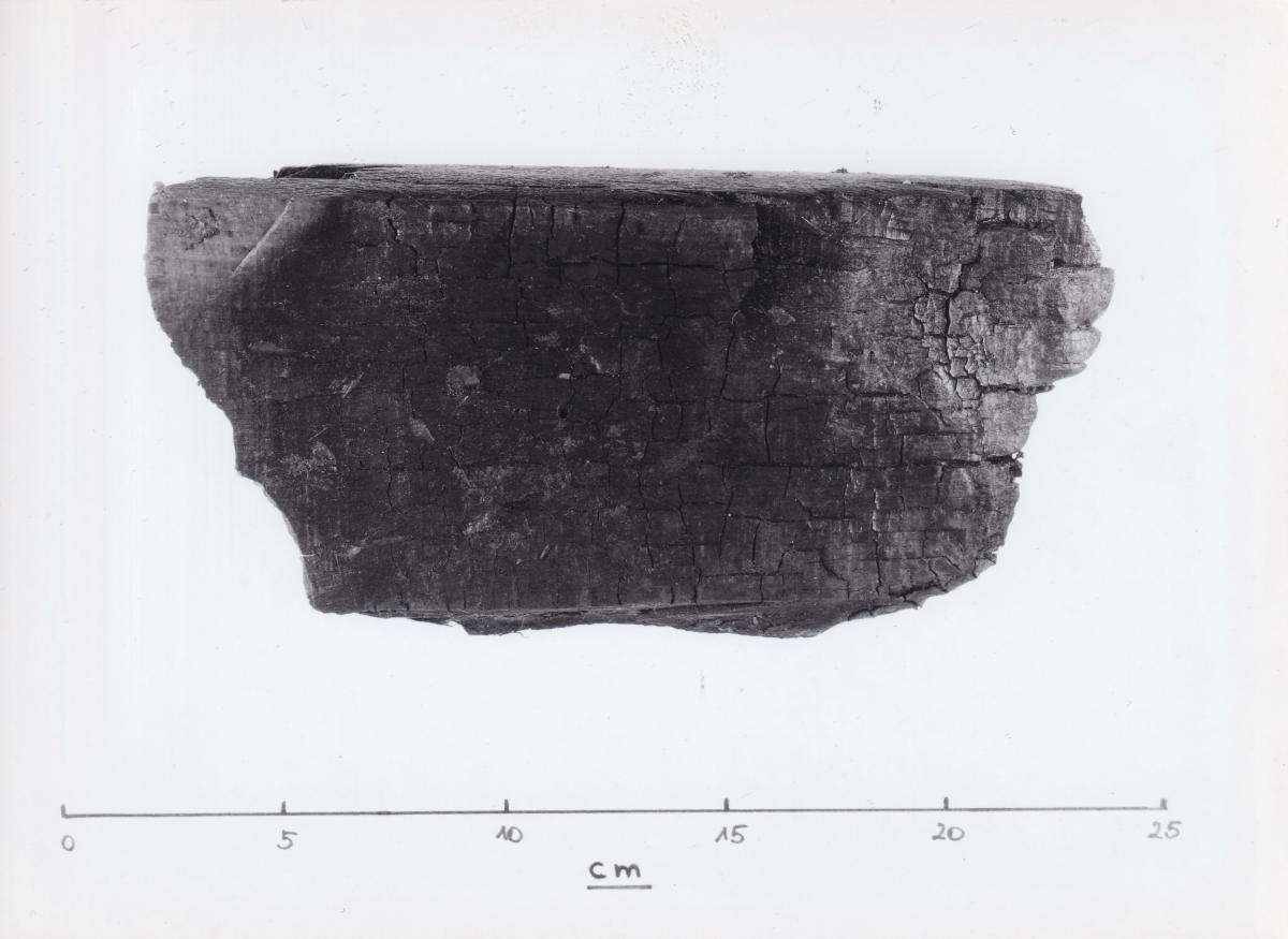Foto von Holzfragment