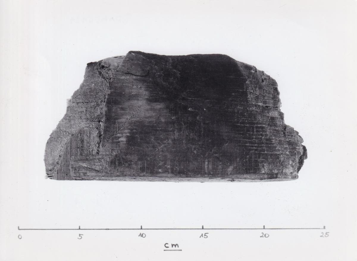 Foto von Holzfragment