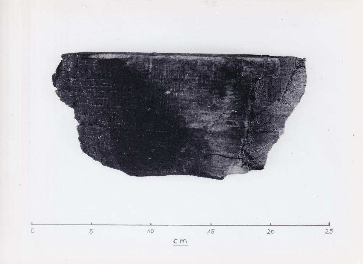 Foto von Holzfragment