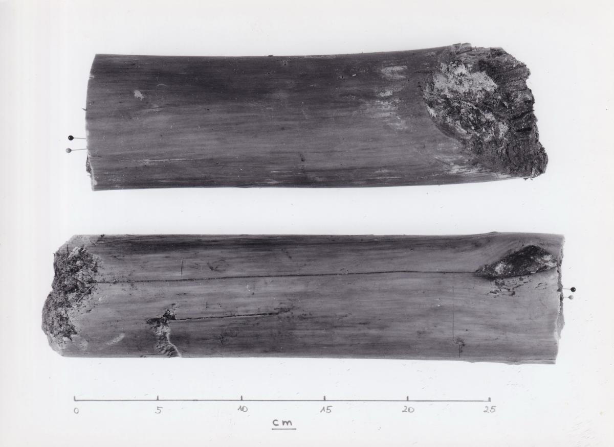 Foto von Pfahlfragmenten