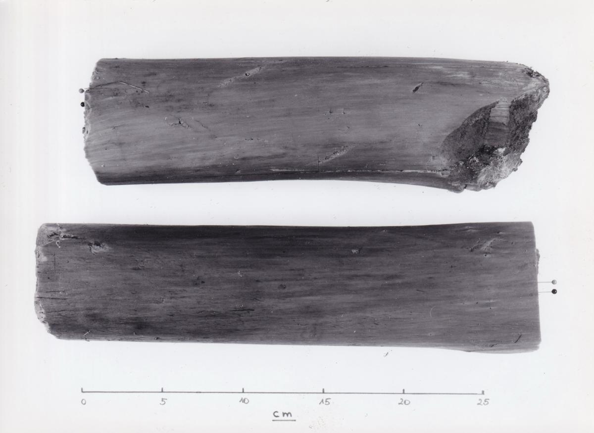 Foto von Pfahlfragmenten