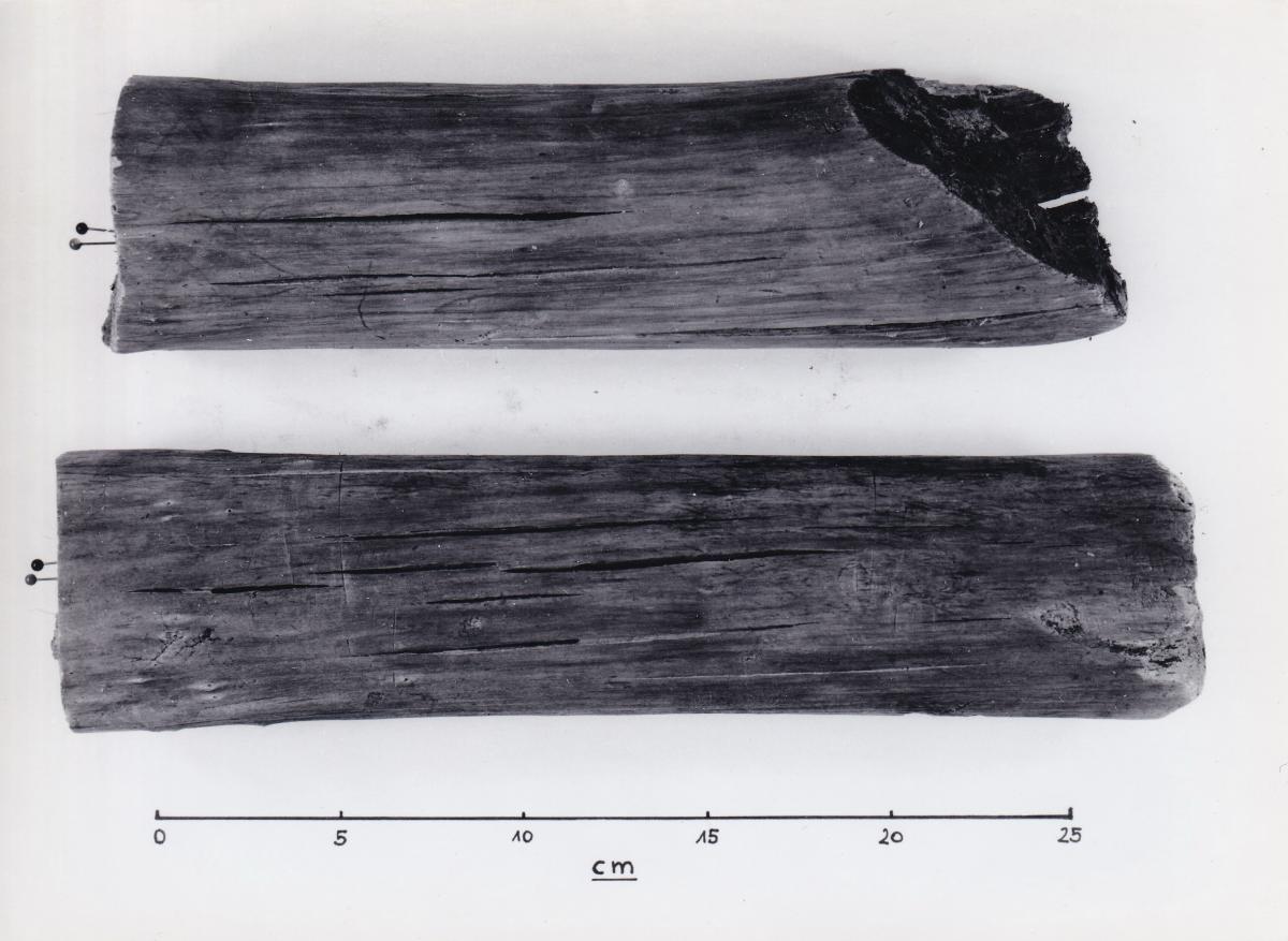 Foto von Pfahlfragmenten