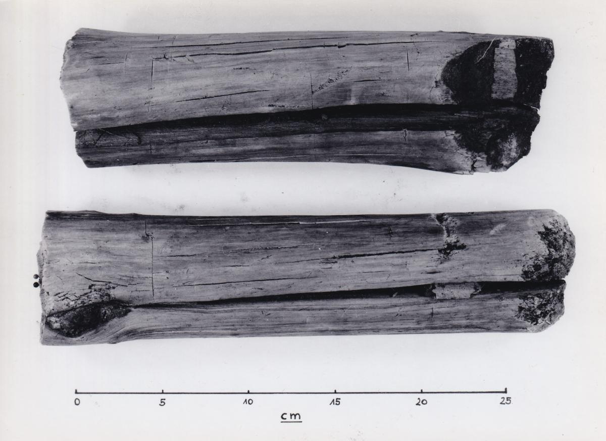 Foto von Pfahlfragmenten