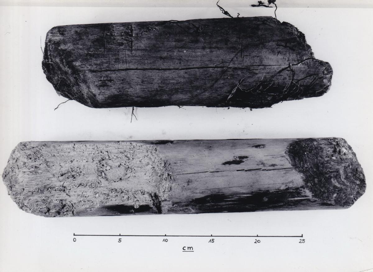 Foto von Pfahlfragmenten