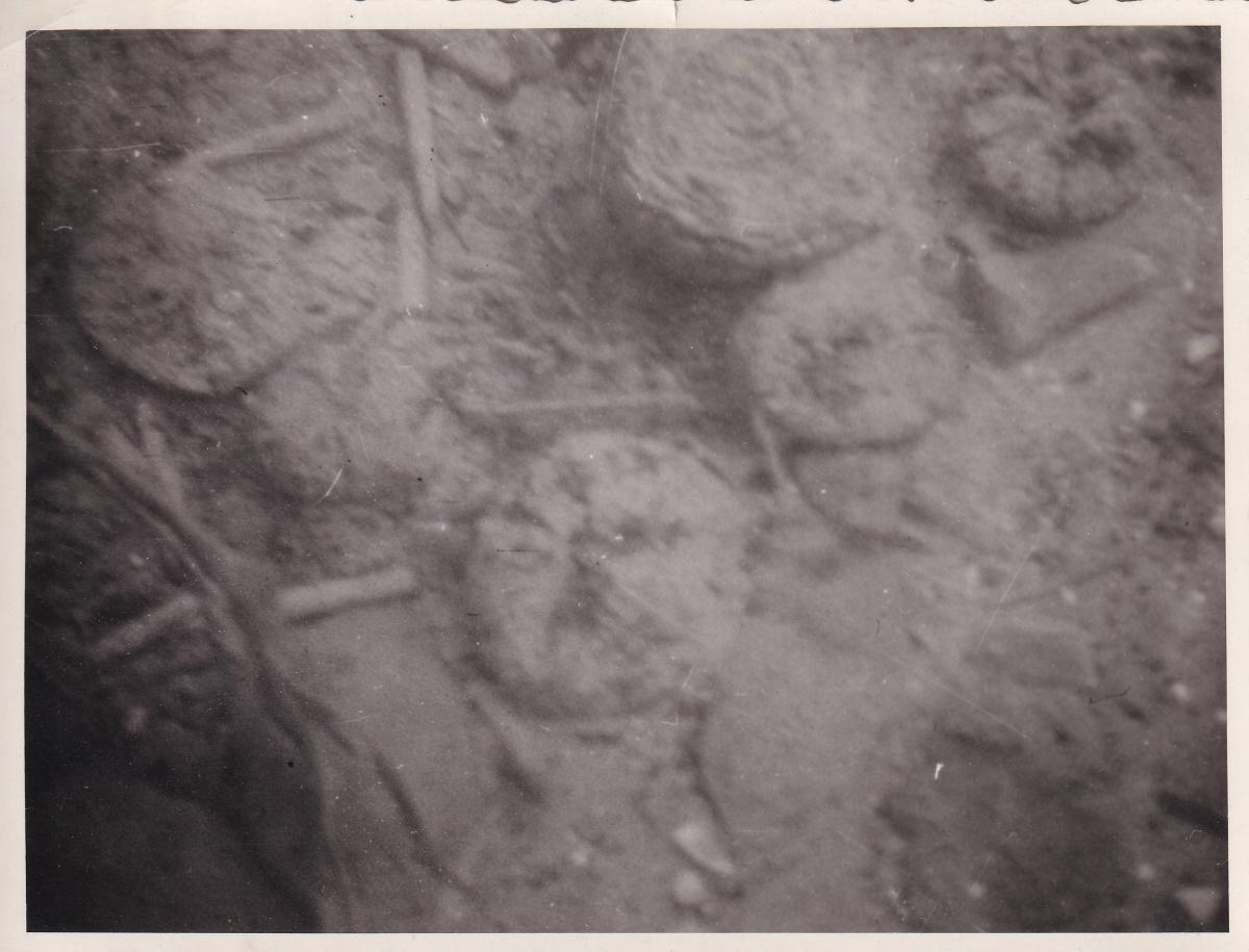 Unterwasserfoto Weyregg I