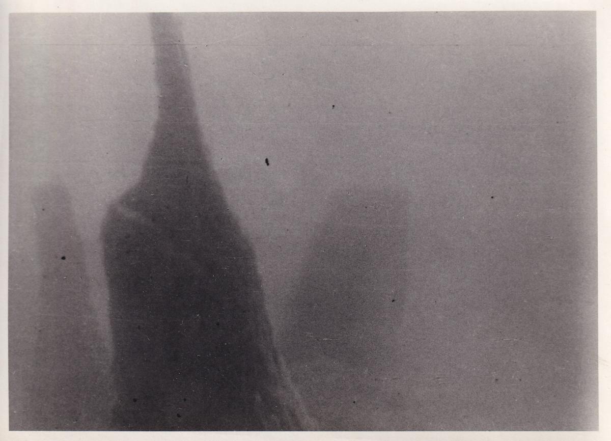 Unterwasserfoto Attersee