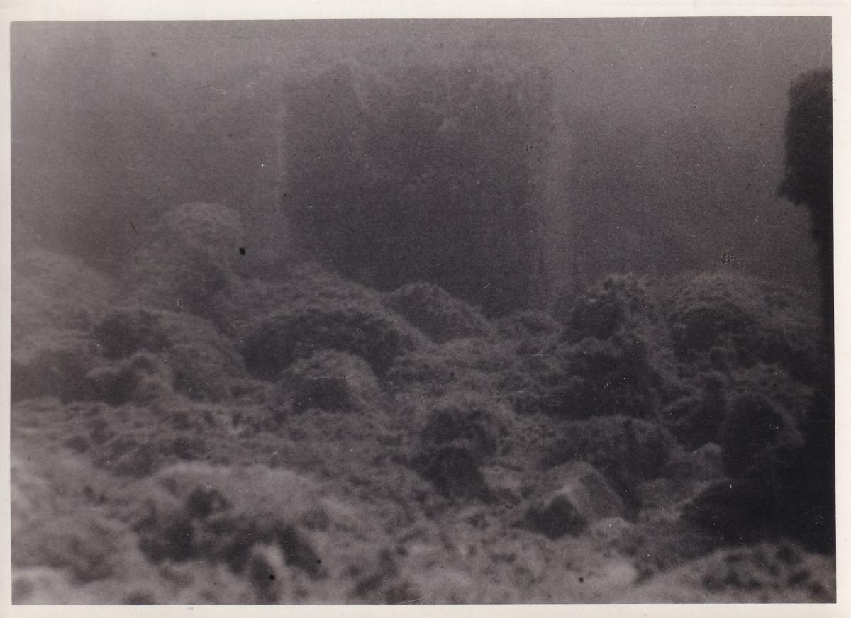 Unterwasseraufnahme am Attersee