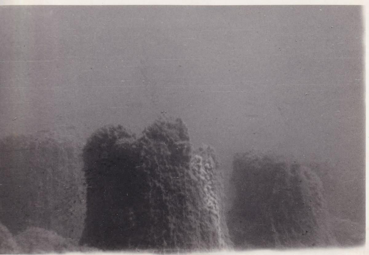 Unterwasseraufnahme am Attersee