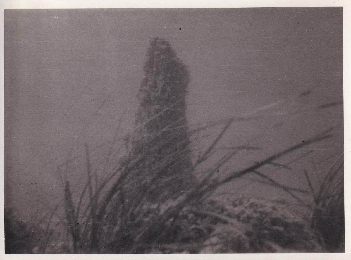 Unterwasseraufnahme am Attersee