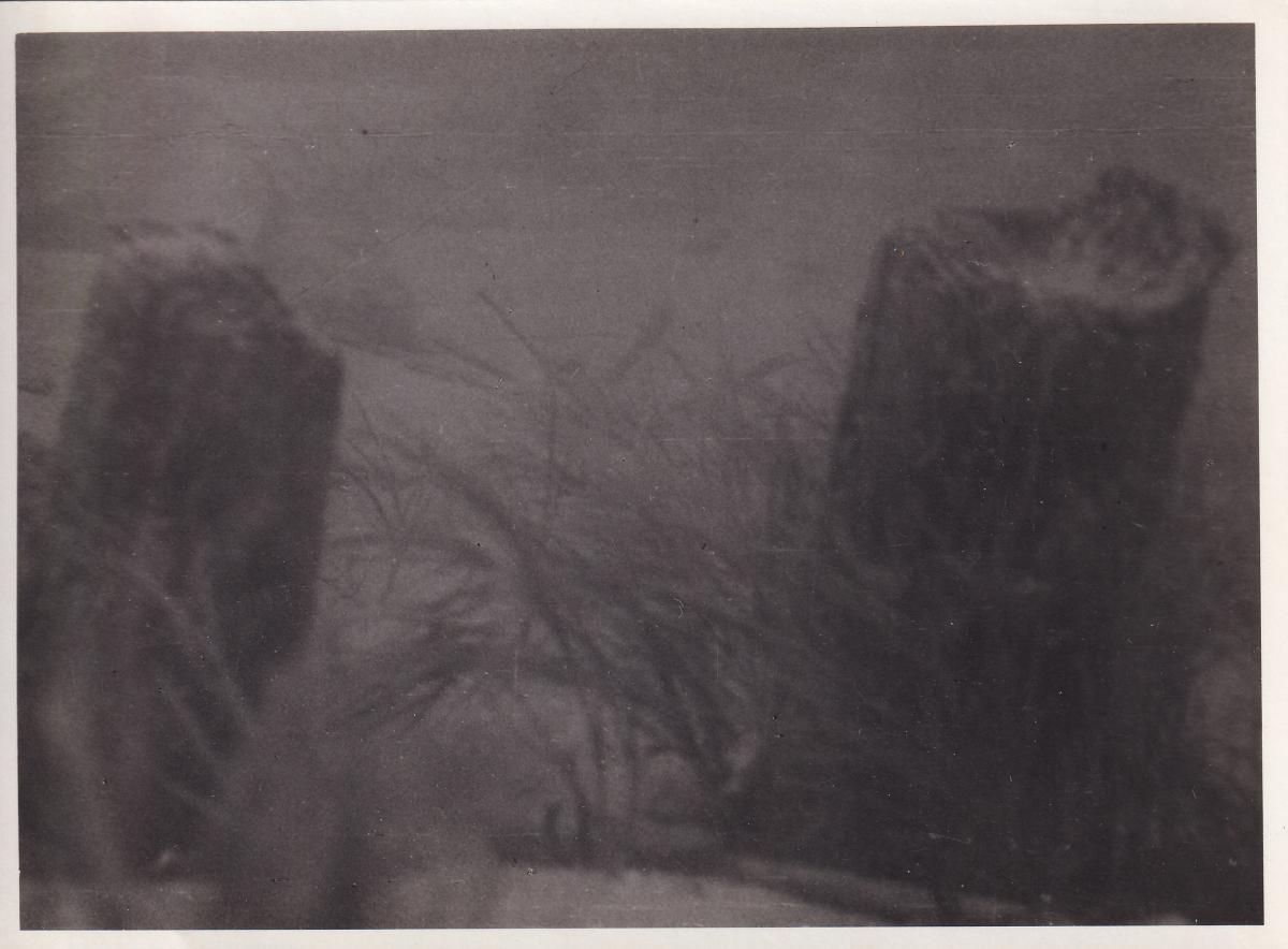 Unterwasseraufnahme am Attersee