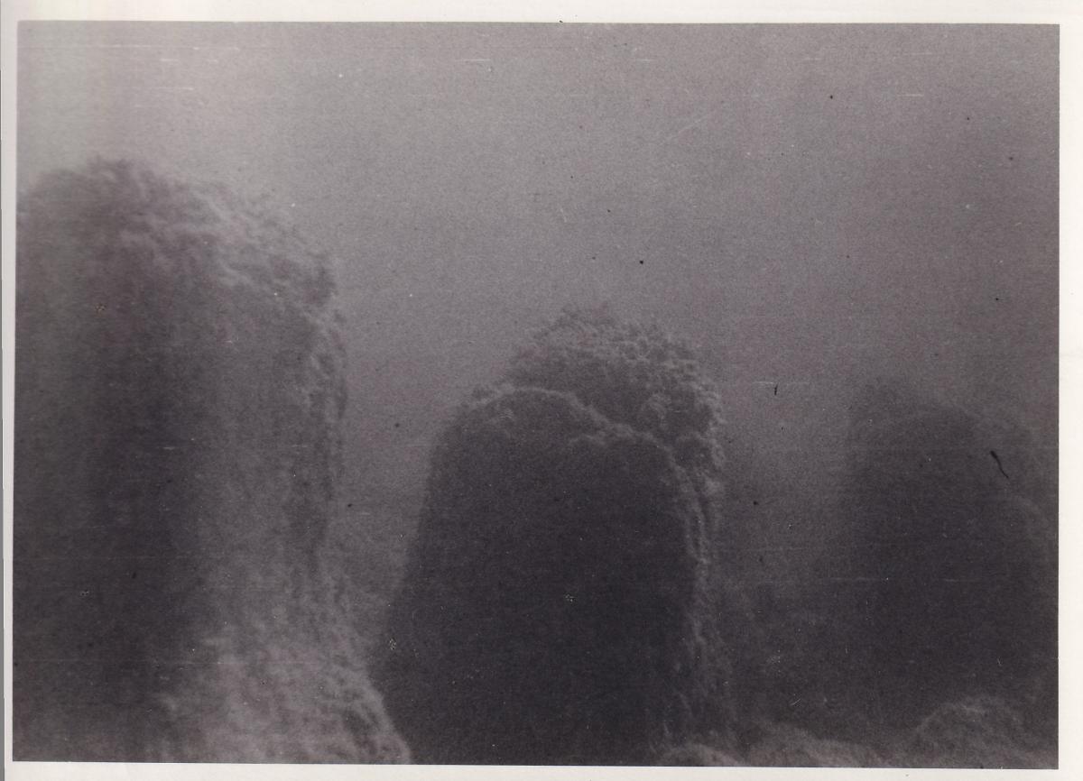 Unterwasseraufnahme am Attersee