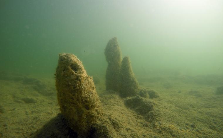 Fundstelle Keutschach am See