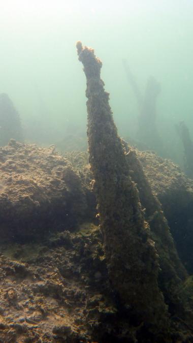 Pfähle unter Wasser