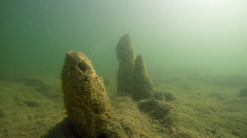 Fundstelle Keutschach am See