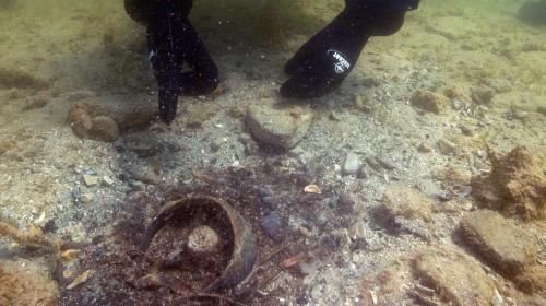 Fund in situ