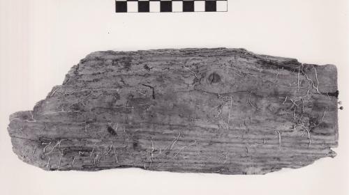 Foto von Pfahlfragment