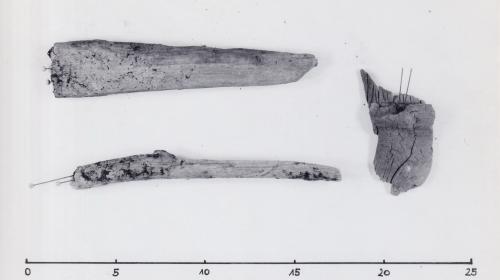 Foto von drei Holzfragmenten
