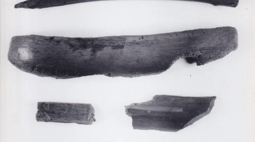 Foto von Pfahlfragmenten