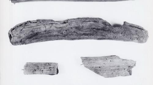 Foto von Pfahlfragmenten