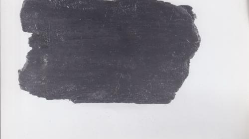 Foto von Pfahlfragment